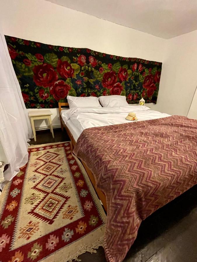 Casa Fântâna - La poalele muntilor -50 de metri de pârtia Olimpică Villa Borşa Exterior foto